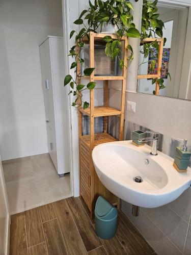a bathroom with a sink and a shelf with plants at Da Camilla in Cagliari