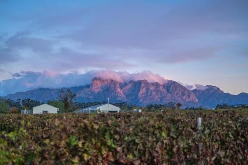 a mountain in the distance with houses in a field at Room 4 - LEO Sky Guest House in Simondium