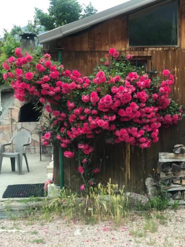 LOVE ROOM Chalet des ALPES