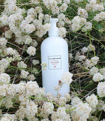 a white bottle sitting next to some white flowers at Hôtel Noucha in Paris