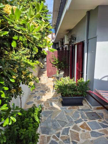 Gallery image of Kate-Mari studios in Skala Kefalonias