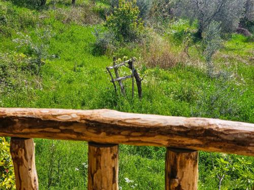 a wooden fence in front of a field of grass at Hani i Ilirit in Cërrik