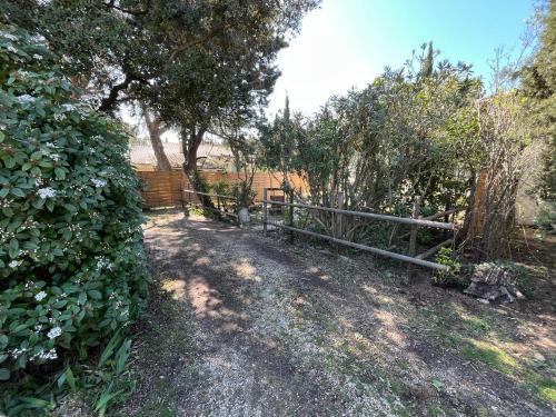 a garden with a fence and some bushes and trees at Mazet en Provence in Châteaurenard