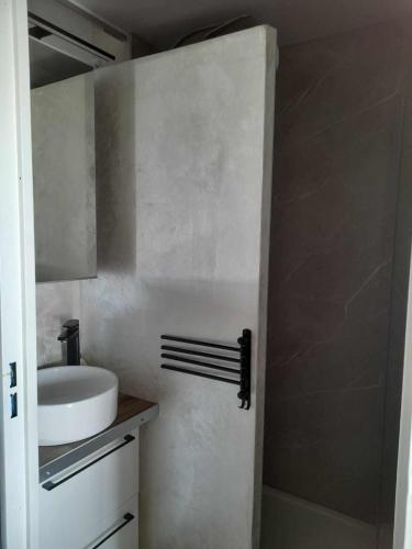 une petite salle de bain avec un lavabo et une douche dans l'établissement Bellevue au cap d agde, au Cap d'Agde