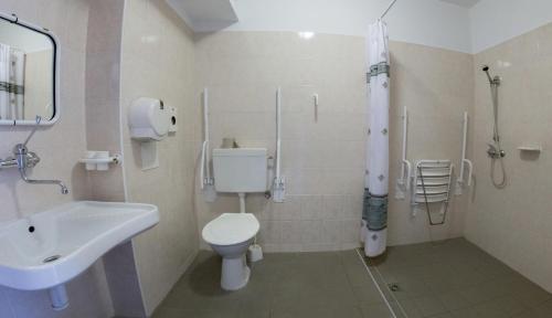 塞米利的住宿－Sportovní Centrum Semily，浴室配有白色卫生间和盥洗盆。