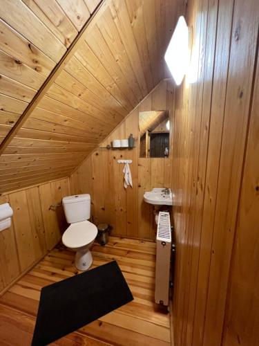 Un baño de madera con inodoro y lavabo. en Domek w lesie, en Radogoszcz