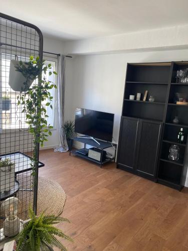 un salon avec une grande étagère noire dans l'établissement Confort & tranquillité à deux pas des restos et de la gare, à Perpignan