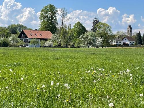 a field of grass with a house in the background at Aich22 in Peißenberg