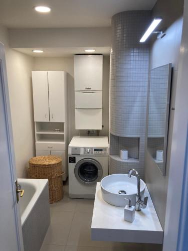 プラハにあるApartment Hanspaulkaの洗面台と洗濯機を備えたバスルーム