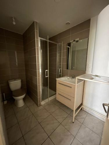 une salle de bain avec toilettes, lavabo et miroir dans l'établissement Appartement moderne & pittoresques, à Caen
