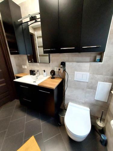 a bathroom with a toilet and a sink at AuroraBoguszow in Boguszów-Gorce