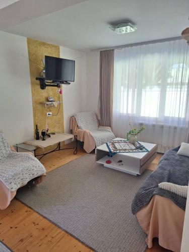 a living room with two beds and a tv at Nasa kuca in Gročanska Ada