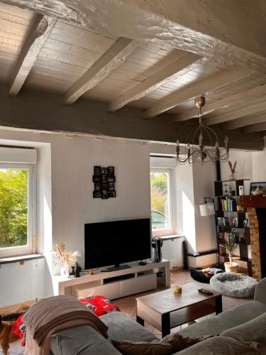 un salon avec un canapé et une télévision à écran plat dans l'établissement Le domaine du moulin du pont, à Aurignac