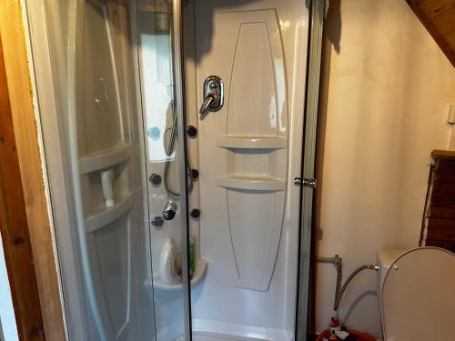 a bathroom with a shower with a sink and a toilet at Hájská chata in Teplice