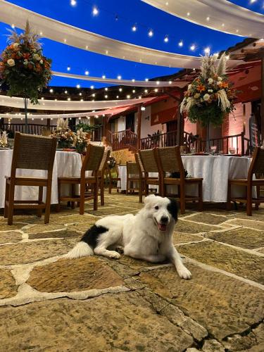 a white dog laying on the floor in a restaurant at Hotel Hicasua y Centro de Convenciones in Barichara