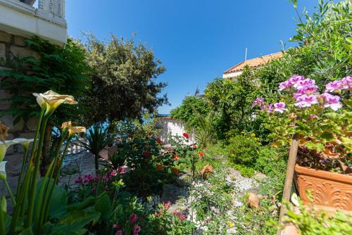 a garden with colorful flowers and plants at Vila Dora in Dobra Voda