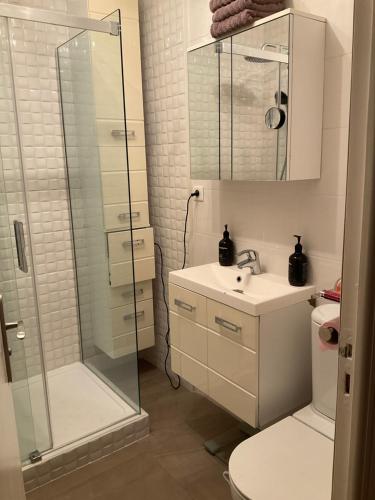 une salle de bain avec une douche, un lavabo et des toilettes dans l'établissement Sweet home+terrasse de 60m2 ,2 mn from croisette beach, à Cannes