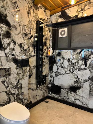 a bathroom with a toilet and a marble wall at Charlie's Little Palace in Mukteshwar