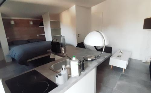 une salle de bain avec un lavabo, un lit et un miroir dans l'établissement Cozy studio house with terrace 15 min from Paris, à Bièvres