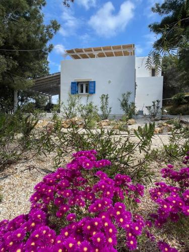 a house with purple flowers in front of it at The Velanidies - Οι Βελανιδιές in Agia Marina