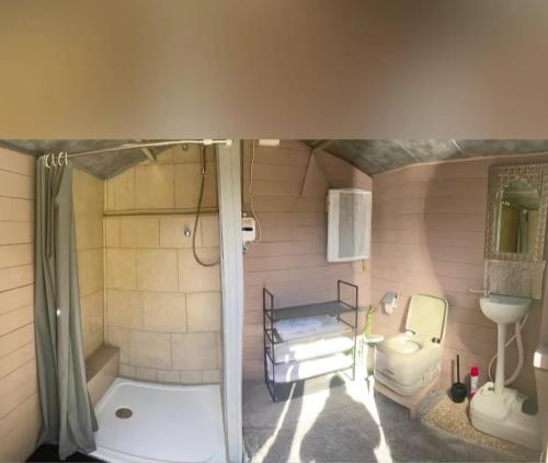 une petite salle de bain avec douche et toilettes dans l'établissement location insolite nuit étoilée, à Bettaincourt-sur-Rognon