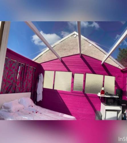 Cette chambre rose comprend un lit et une fenêtre. dans l'établissement location insolite nuit étoilée, à Bettaincourt-sur-Rognon