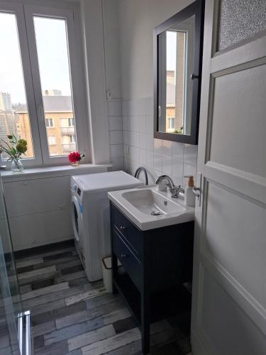 une salle de bain avec un lavabo et une machine à laver dans l'établissement Sedan ville d histoire, à Sedan