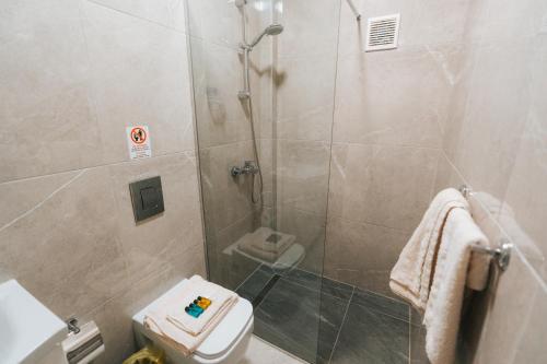 a bathroom with a shower and a toilet at Albatross Apartments in Bitola