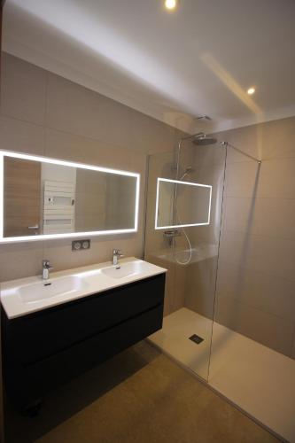 une salle de bain avec un lavabo et une douche dans l'établissement Les Terrasses de Ruppione - Villa Scandola, à Pietrosella