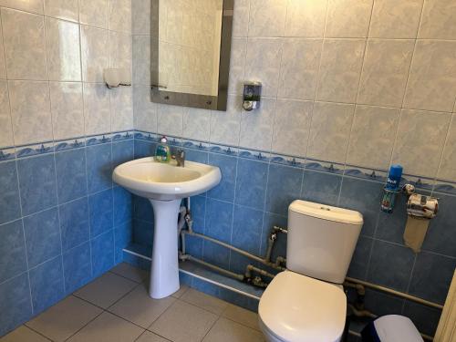 a bathroom with a toilet and a sink at Золотий Берег in Poltava