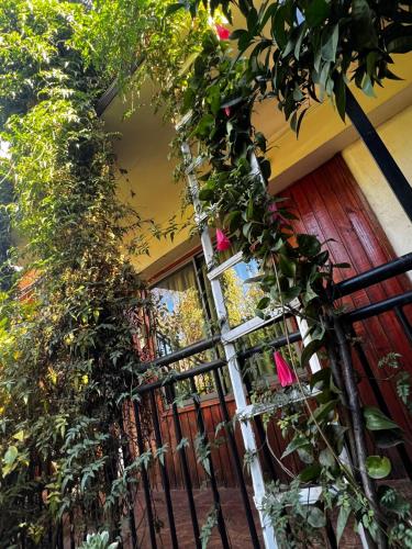 AngolにあるHostal Ginaのたくさんの植物が周囲に生えているドア