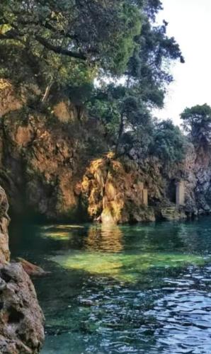 a river with green water and trees on a cliff at Trebiano a casa dei nonni in Arcola