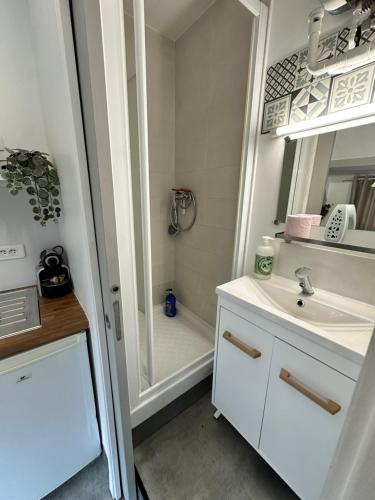 une salle de bain avec un lavabo et une douche dans l'établissement STUDIO proche commodité et gare . Centre ville, à Caen