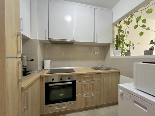 Dapur atau dapur kecil di Plaza Apartment