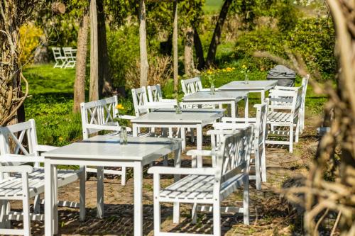 a row of white tables and chairs in a garden at Solbjerggaard Bed & Breakfast in Fåborg