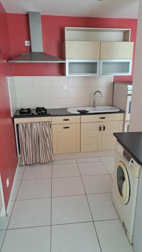 a kitchen with a sink and a washing machine at Mauleon Maison prive jardin 6 personnes in Mauléon