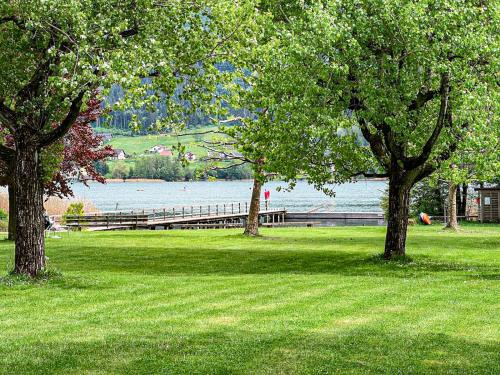 a park with two trees and a dock in the grass at RIOpartment Ossiacher See in Bodensdorf