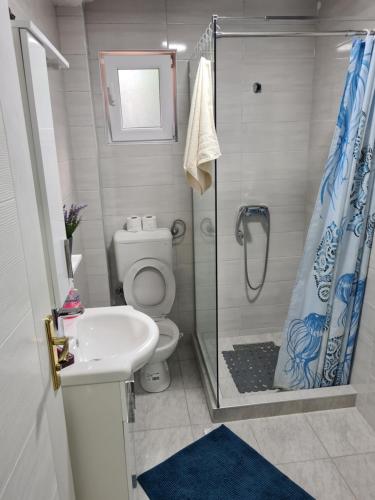 a bathroom with a toilet and a sink and a shower at Apartmani Podvisoki in Visoko