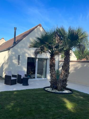 un palmier devant une maison dans l'établissement Cozy duplex with terrace 3km from Disney, à Magny-le-Hongre
