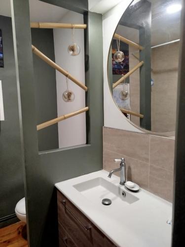 une salle de bain avec un lavabo et un miroir dans l'établissement Maison le Cerisier, à Amiens