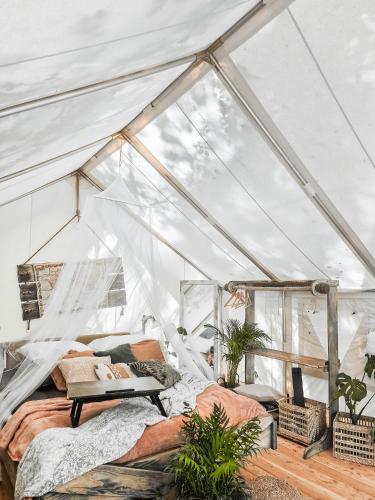 SwaderkiにあるKaluna Glamp Jungleのギャラリーの写真