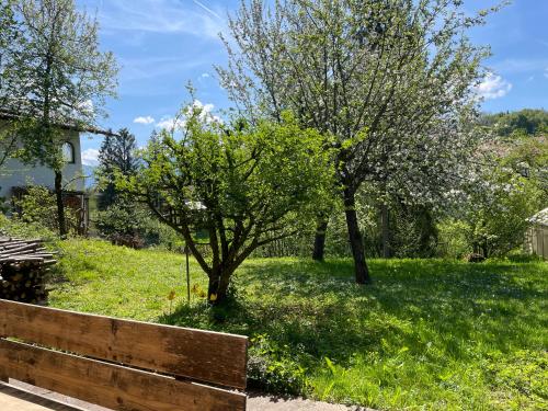 a park with two trees and a wooden bench at Zum Fröhlich in Großweil