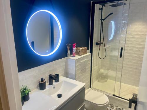 une salle de bain avec un lavabo et une douche avec un miroir dans l'établissement Suite ana, à Nice