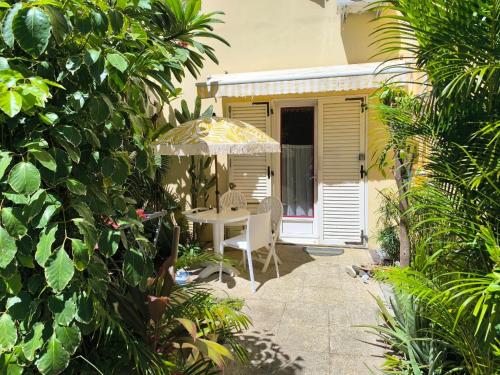 Ein Garten an der Unterkunft Le Rodrigues - parking - clim - wifi - plage