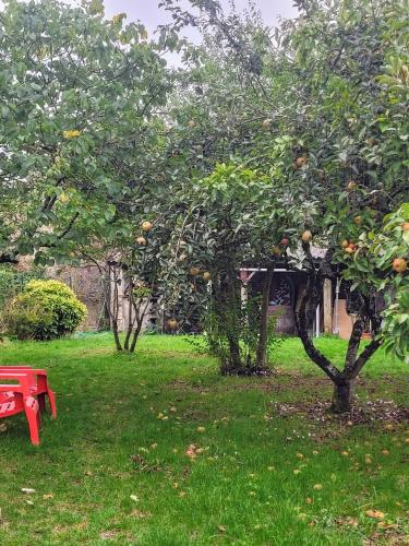 un banc rouge assis dans l'herbe à côté d'un pommier dans l'établissement Hellfest 2025 chambre petit-déjeuner, à La Celle-sous-Gouzon