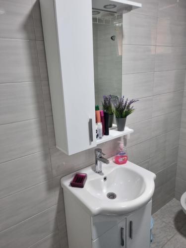 a bathroom with a white sink and a mirror at Apartmani Podvisoki in Visoko