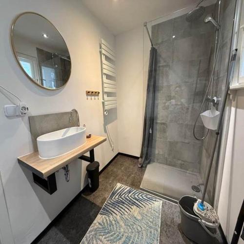 a bathroom with a sink and a shower with a mirror at Das Garden House - Hohensee Erdgeschoss in Zemitz