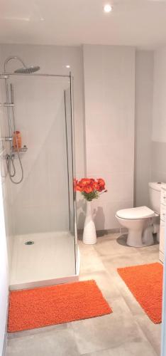 La salle de bains est pourvue d'une douche, de toilettes et d'un vase de fleurs. dans l'établissement Gîte avec Piscine et spa, à Éperlecques