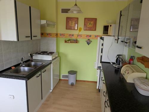 Una cocina o cocineta en Michałówka Michaelhof