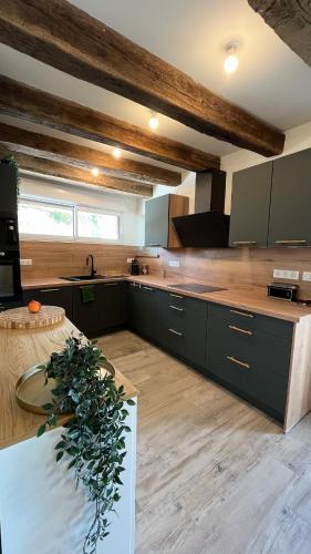 Dapur atau dapur kecil di Gîte du Puits Chauveau Spa Vignes Chateaux 8pers